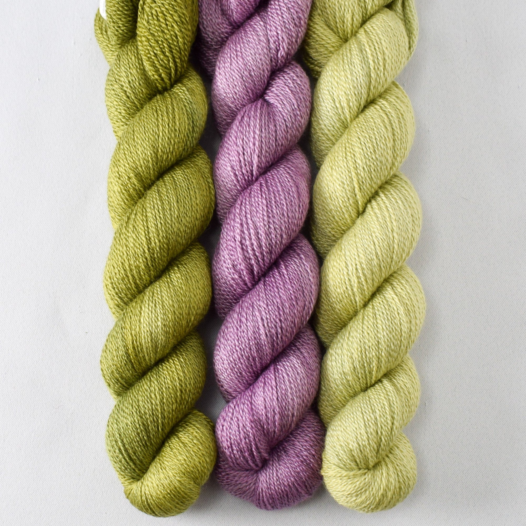 Thyme, Fig, and Sorrel - Miss Babs Yet Trio