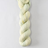 Todd - Miss Babs Katahdin 437 yarn