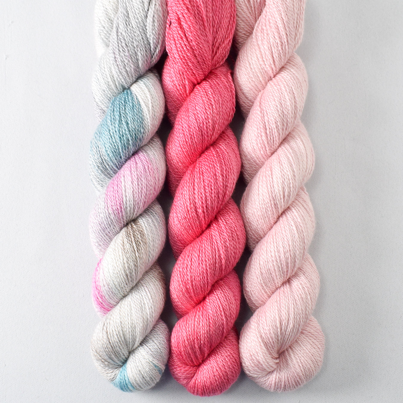 Toronto, Sugar, and Lotus - Miss Babs Yet Trio