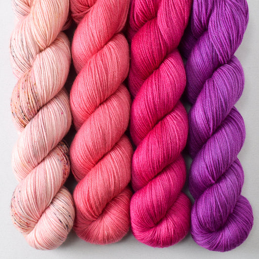 Tropical Sunset, Lotus, Floyd, and Violaceous - Miss Babs Tarte Quartet