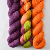 Tulipa, Birthday Gift, and French Marigold - Miss Babs Avon Trio