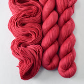 Tupelo - Miss Babs Yummy 2-Ply superwash Merino wool yarn