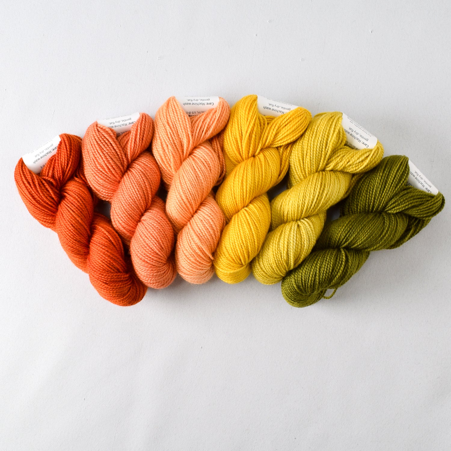 Turned into a Newt - Gradient Set