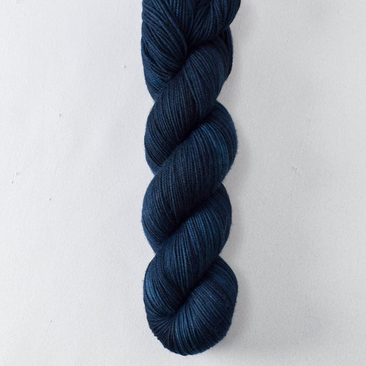 Victor - Miss Babs Laurel Falls yarn