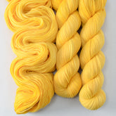 Vincent - Miss Babs Caroline merino-cashmere-nylon yarn