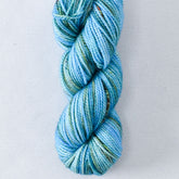 Walk in the Park - Miss Babs Yummy 2-Ply Toes superwash Merino wool yarn