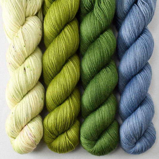 Wandflower, Dragon’s Claw, Herbalist, and Acid Wash - Miss Babs Tarte Quartet