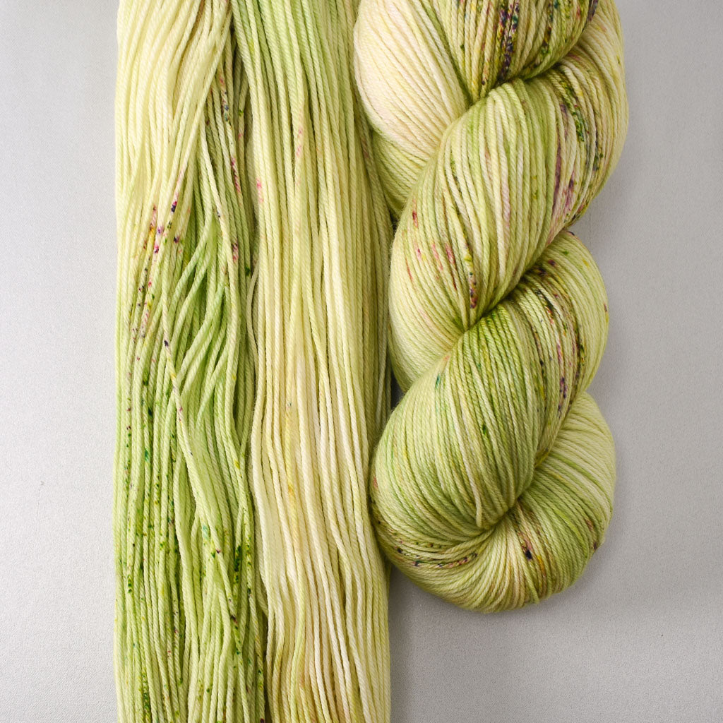 Wandflower - Miss Babs Yowza yarn