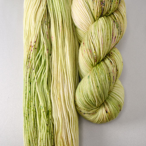 Wandflower - Miss Babs Yowza yarn