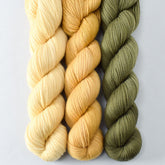 Wheaten, Patina, Salamander - Miss Babs Yummy 2-Ply Trio