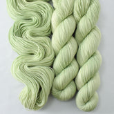 Whimsy Willow - Miss Babs Yummy 2-Ply superwash Merino wool yarn