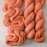 Wild Tulip - Miss Babs Yummy 2-Ply yarn