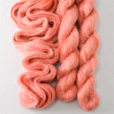 Wild Tulip - Miss Babs Moonglow yarn