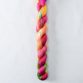 Winkin - Miss Babs Sojourn yarn