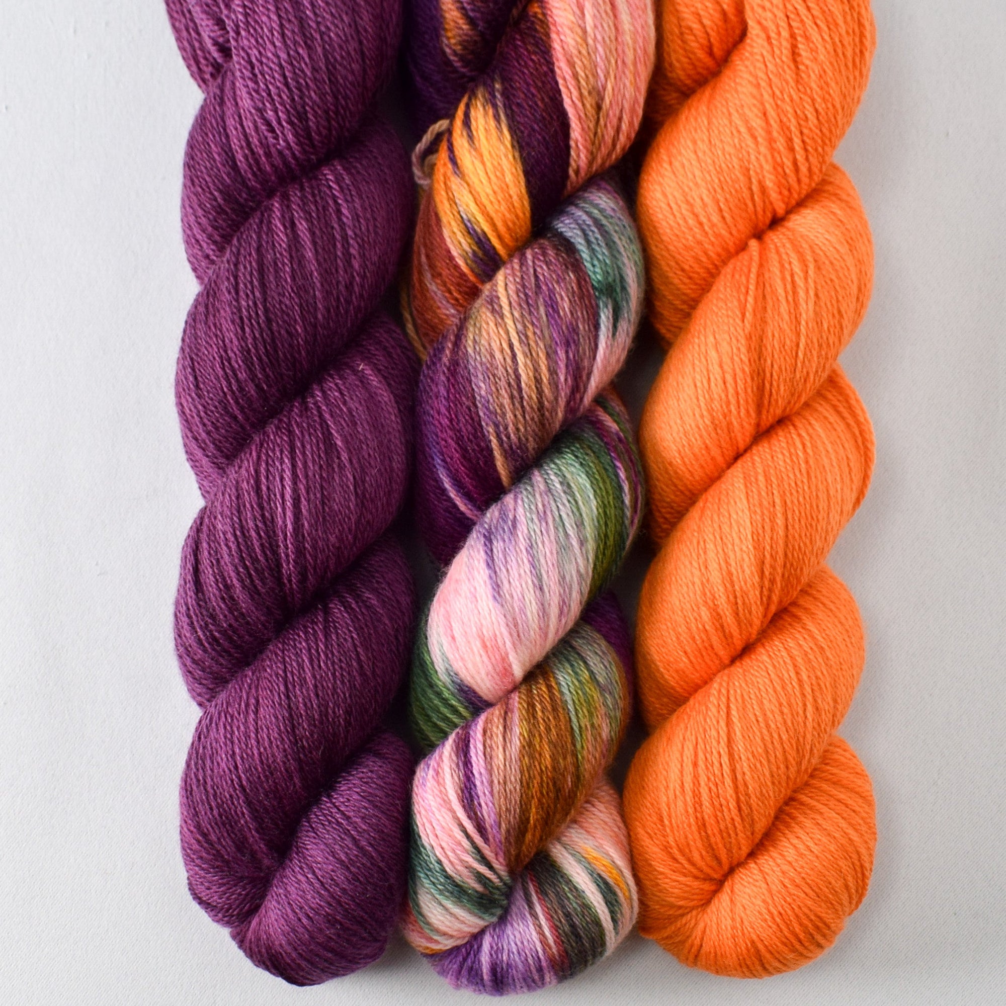 Wolfsbane, Charmed, and Zest - Miss Babs Caroline Trio