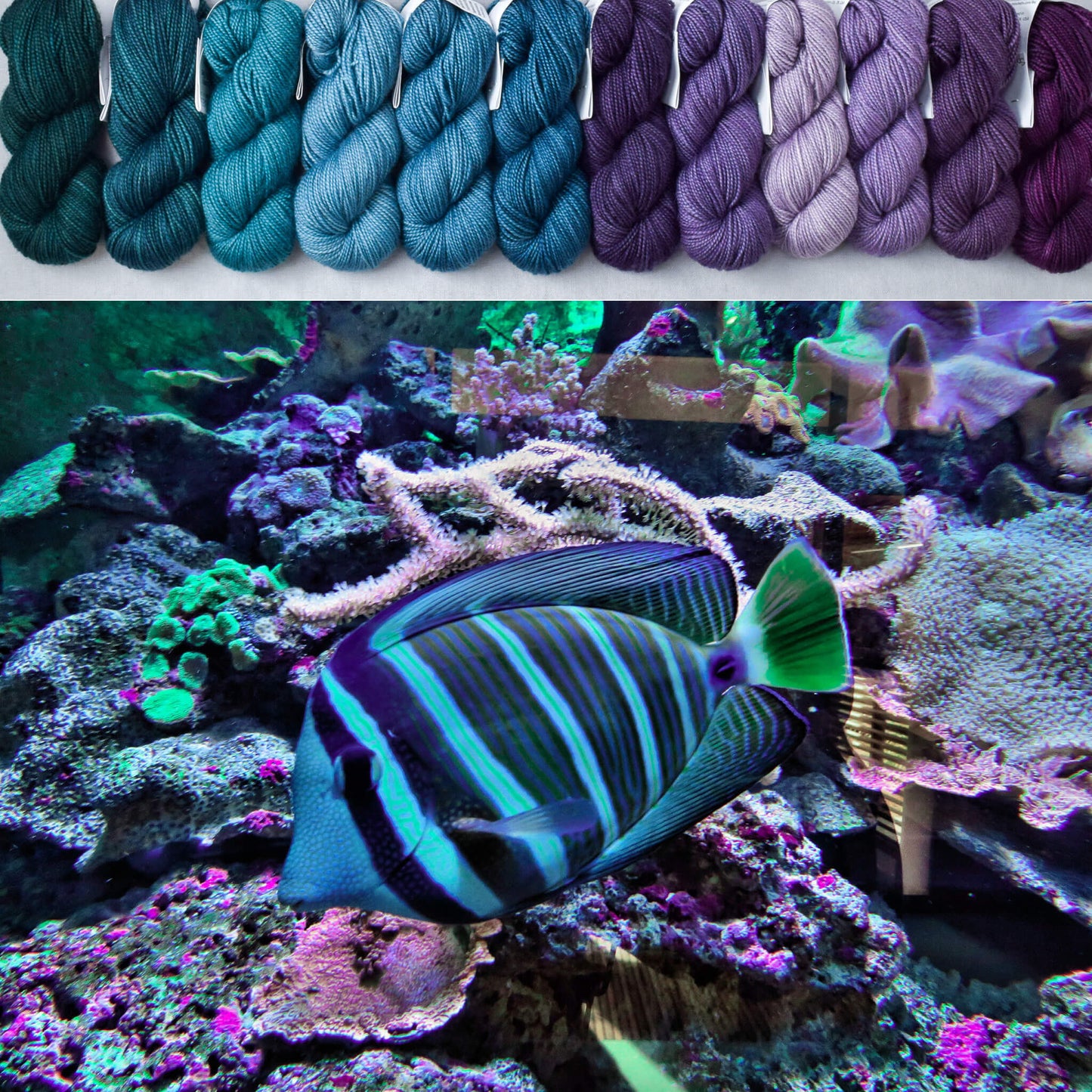 Saltwater Aquarium - Crown Wools Set