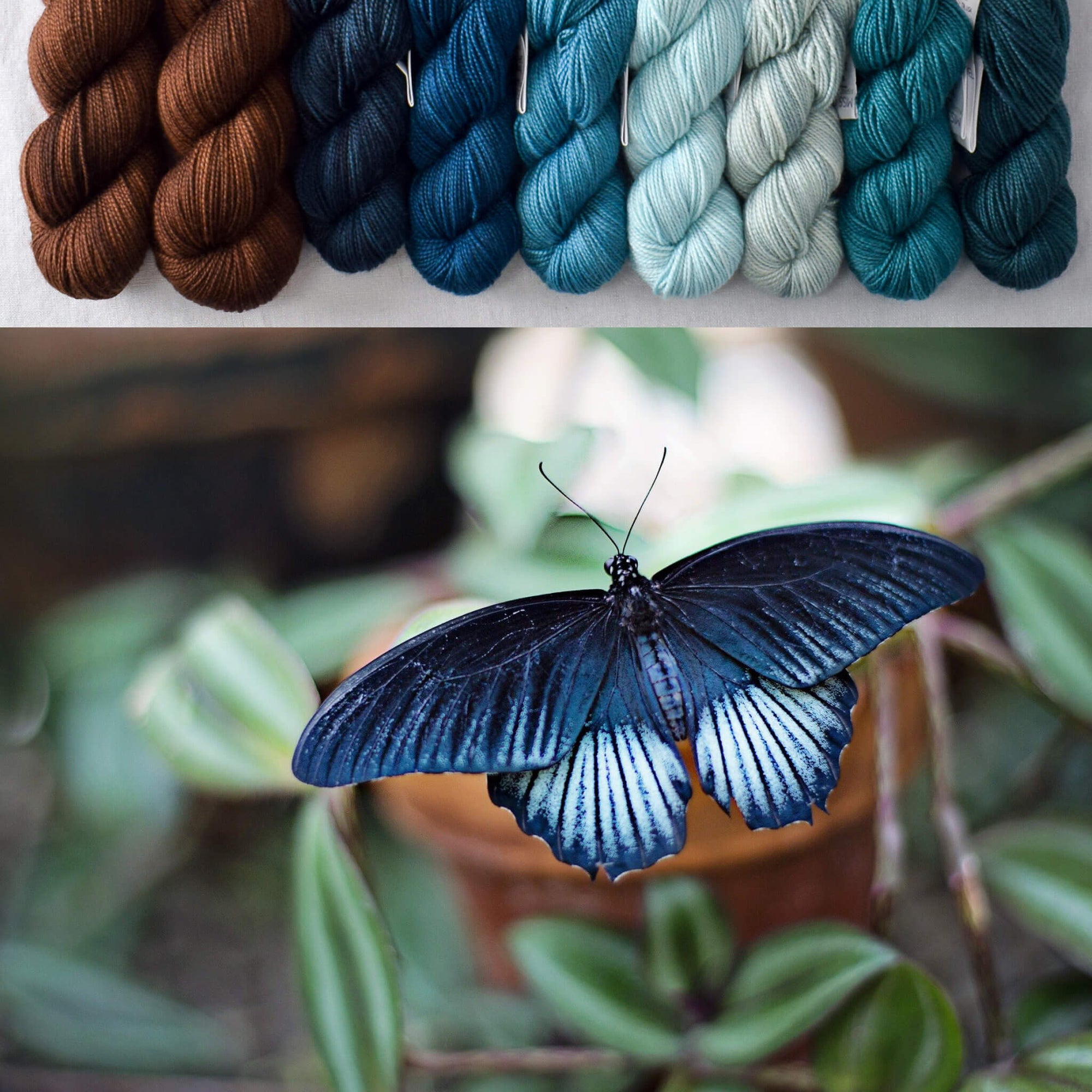 Forest Butterfly with Bittersweet Chocolate - Garden Variety Set