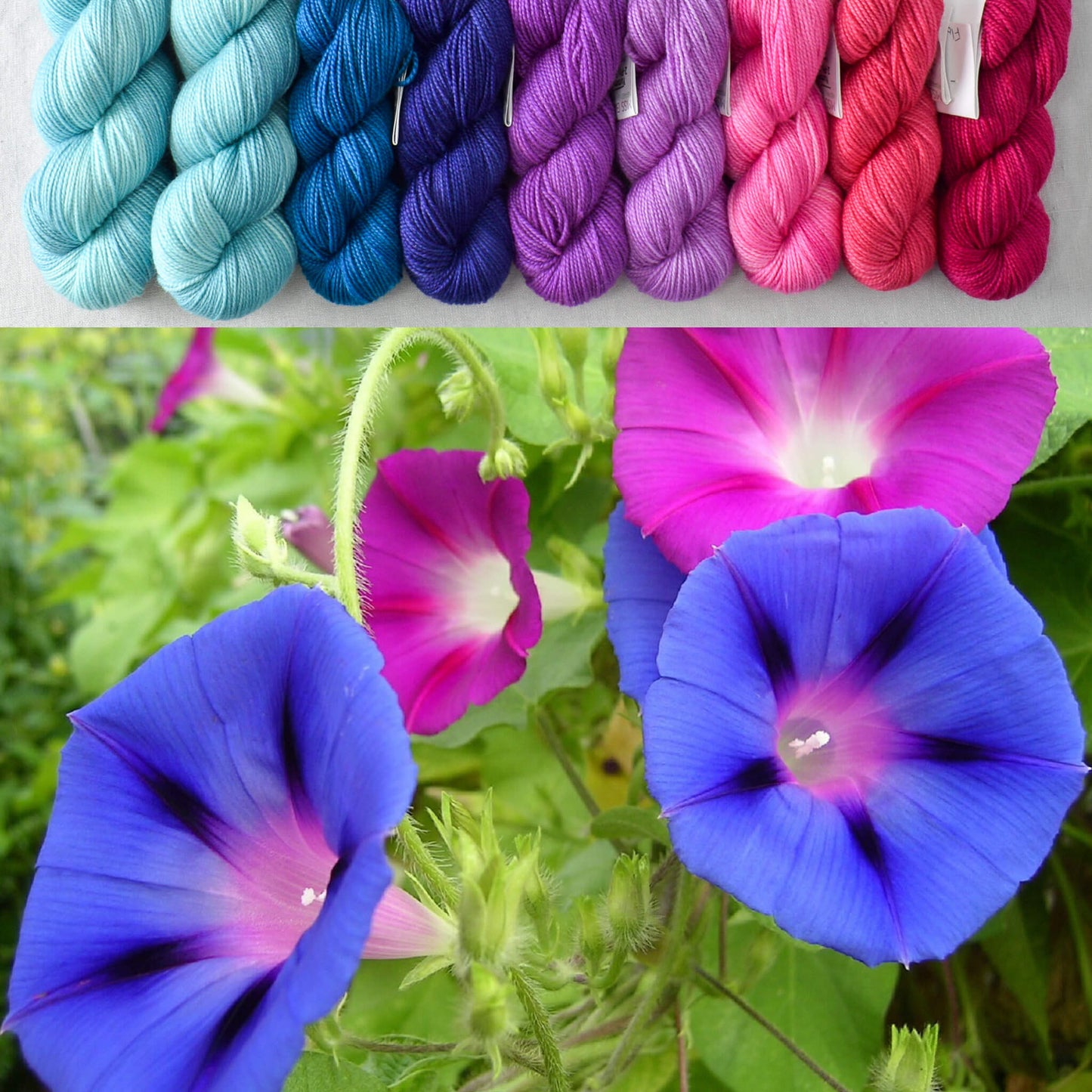 Morning Glories with Mindful - Garden Variety Set