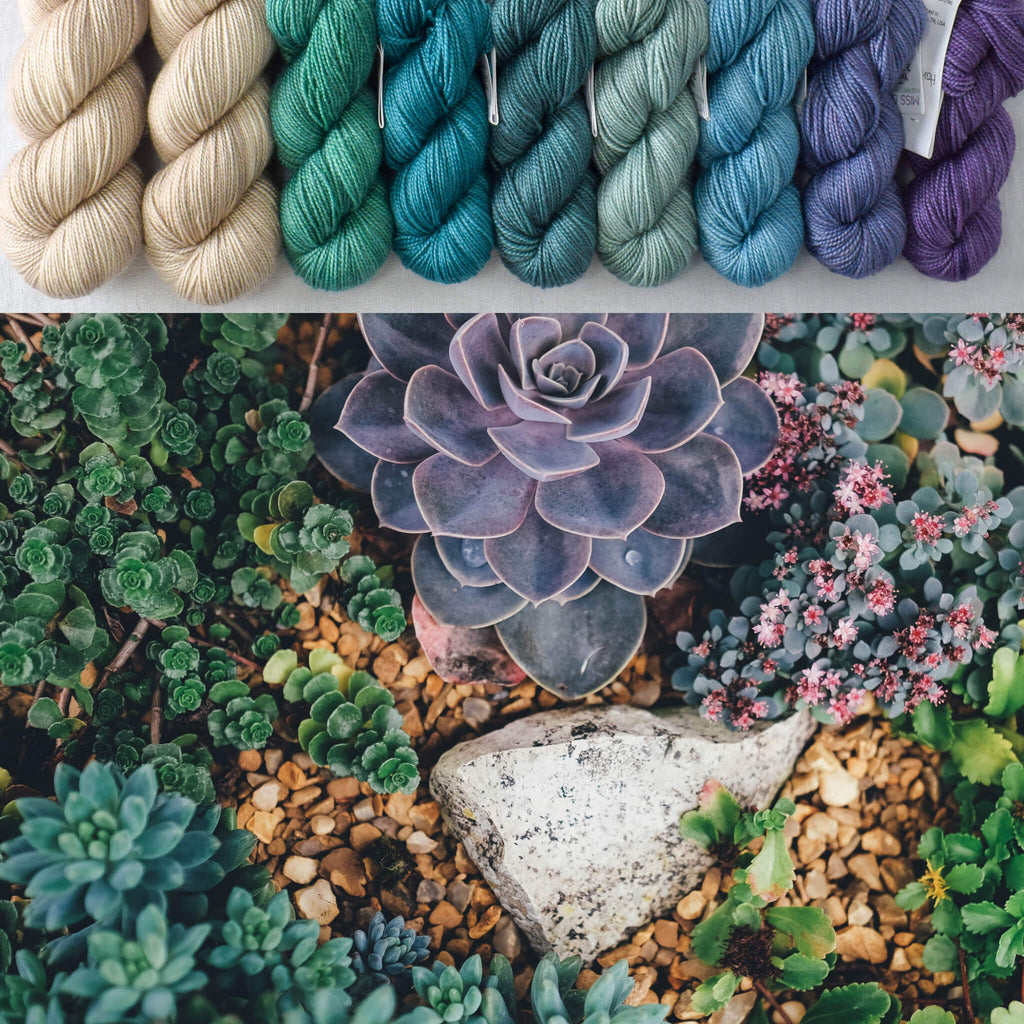 Stonecrop - Garden Variety Set