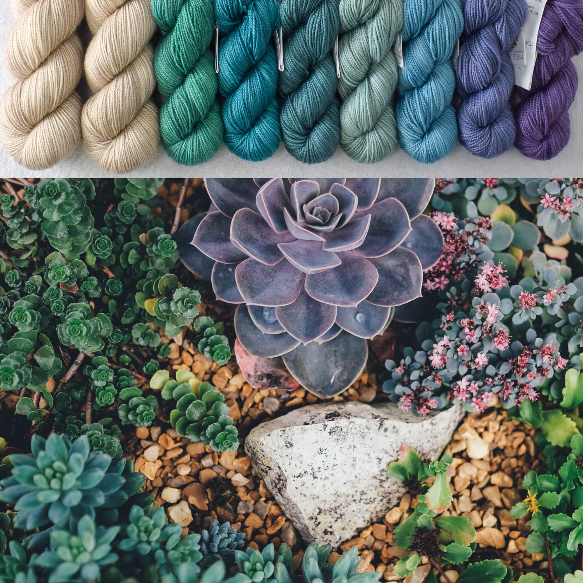 Stonecrop - Garden Variety Set