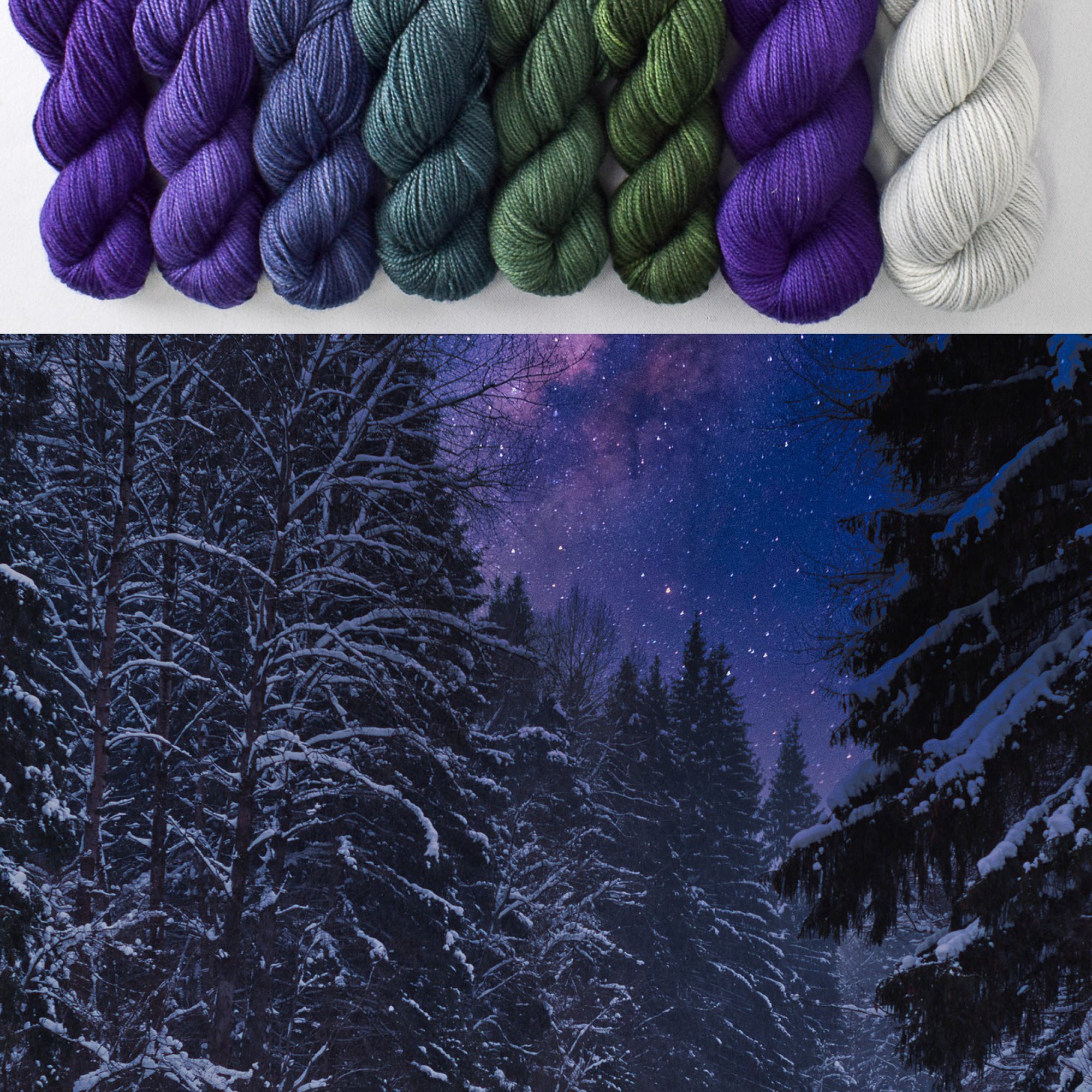 Dutch Iris 1 with Dutch Iris 1 and Frozen - Winter Wonderland Set