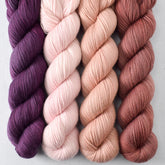 Abiquiu, Karabiber, Sugar, Tulipa - Miss Babs Yummy 2-Ply Quartet