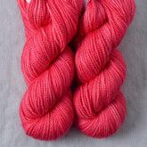 Adhil - Miss Babs Yummy 2-Ply Toes superwash Merino wool yarn