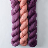 Adobe, Fig, Tulipa - Miss Babs Yowza Mini Trio