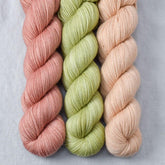Adobe, Frog Belly, Muslin - Miss Babs Yummy 2-Ply Trio