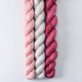 Adobe, Lace Murex, Passion - Miss Babs Sojourn Trio