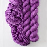 Allium - Miss Babs Yowza Mini superwash Merino wool yarn