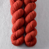 American Robin - Miss Babs Yummy 2-Ply superwash Merino wool yarn