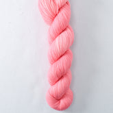 Andean Flamingo - Miss Babs Yummy 2-Ply superwash Merino wool yarn