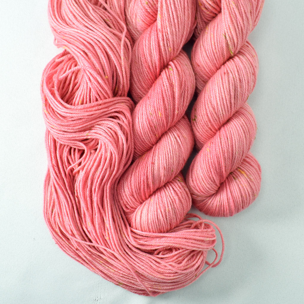 Andean Flamingo - Miss Babs Cupcake yarn