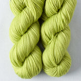Aphid - Miss Babs Yummy 2-Ply Toes superwash Merino wool yarn