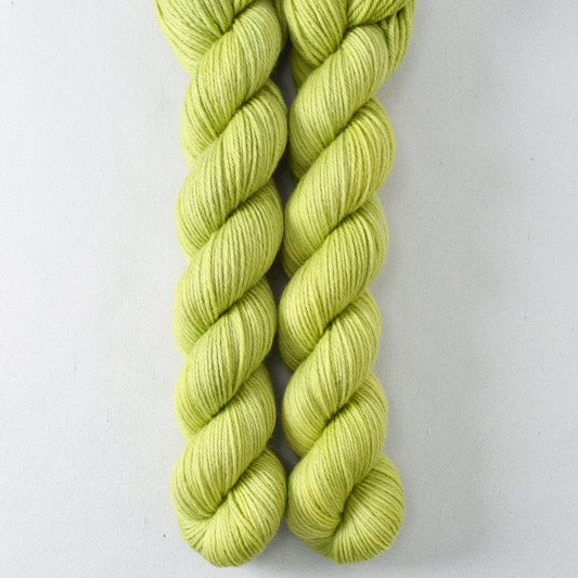 Aphid - Miss Babs Yowza Mini superwash Merino wool yarn