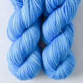 Apogee - Miss Babs Yummy 2-Ply Toes superwash Merino wool yarn
