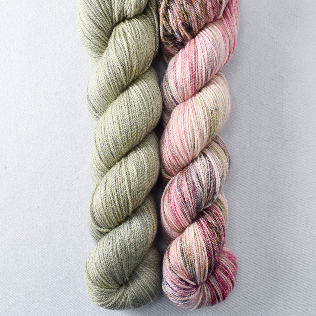 Apple Season, Sycamore - Miss Babs Caroline Duo