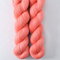 Apricot Sorbet - Miss Babs Tarte yarn