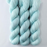 Aquamarine - Miss Babs Tarte wool blend sock yarn