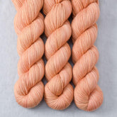 Ascent - Miss Babs Yummy 2-Ply superwash Merino wool yarn