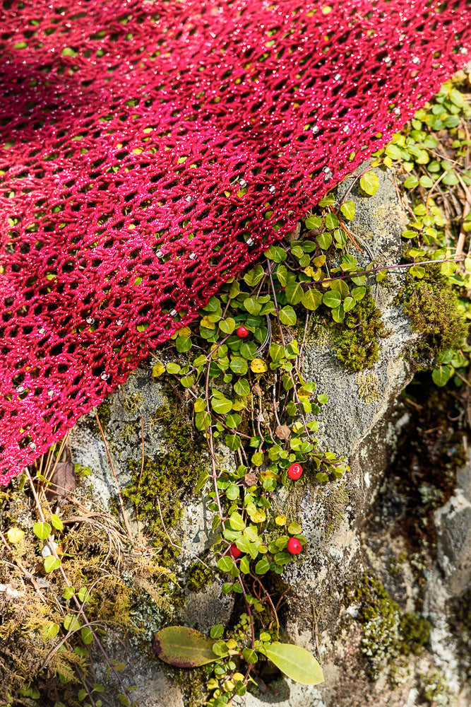 Red lacy shawl draped on a rock and greenery.
