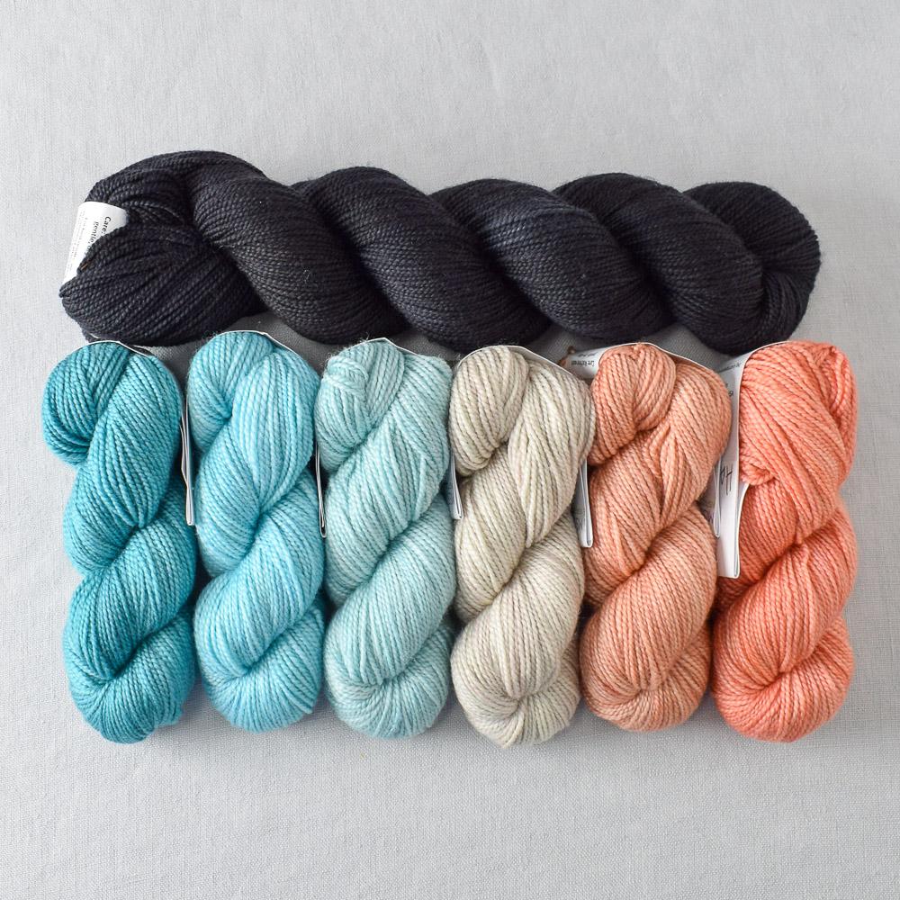 Astronomy and Ebony Yummy 2-Ply Shawl Set - Gradient Set
