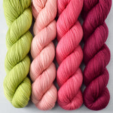 Aubergine, Beauty Awaits, Inatha, Sweet Pea - Miss Babs Yummy 2-Ply Quartet