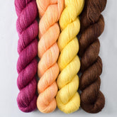 Aubergine, Espresso, Sunny, Whitsunday - Miss Babs Yet Quartet