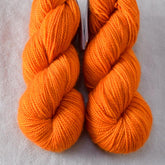 Awareness - Miss Babs Yummy 2-Ply Toes superwash Merino wool yarn