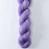 Bachelor Buttons - Miss Babs Yummy 2-Ply superwash Merino wool yarn