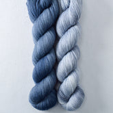 Baird's Whale - Miss Babs Caroline Duo