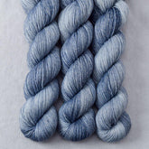 Baird's Whale - Miss Babs Estrellita fingering weight superwash merino and Lurex yarn