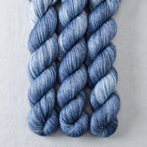 Baird's Whale - Miss Babs Yowza Mini superwash Merino wool yarn